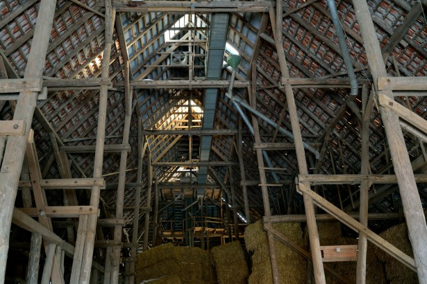 Dachstuhl Kurtz Detektei Hannover, Copyright liebeslakritze