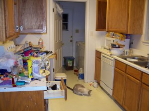 My kitchen Kurtz Detektei Bochum, Copyright abbamouse