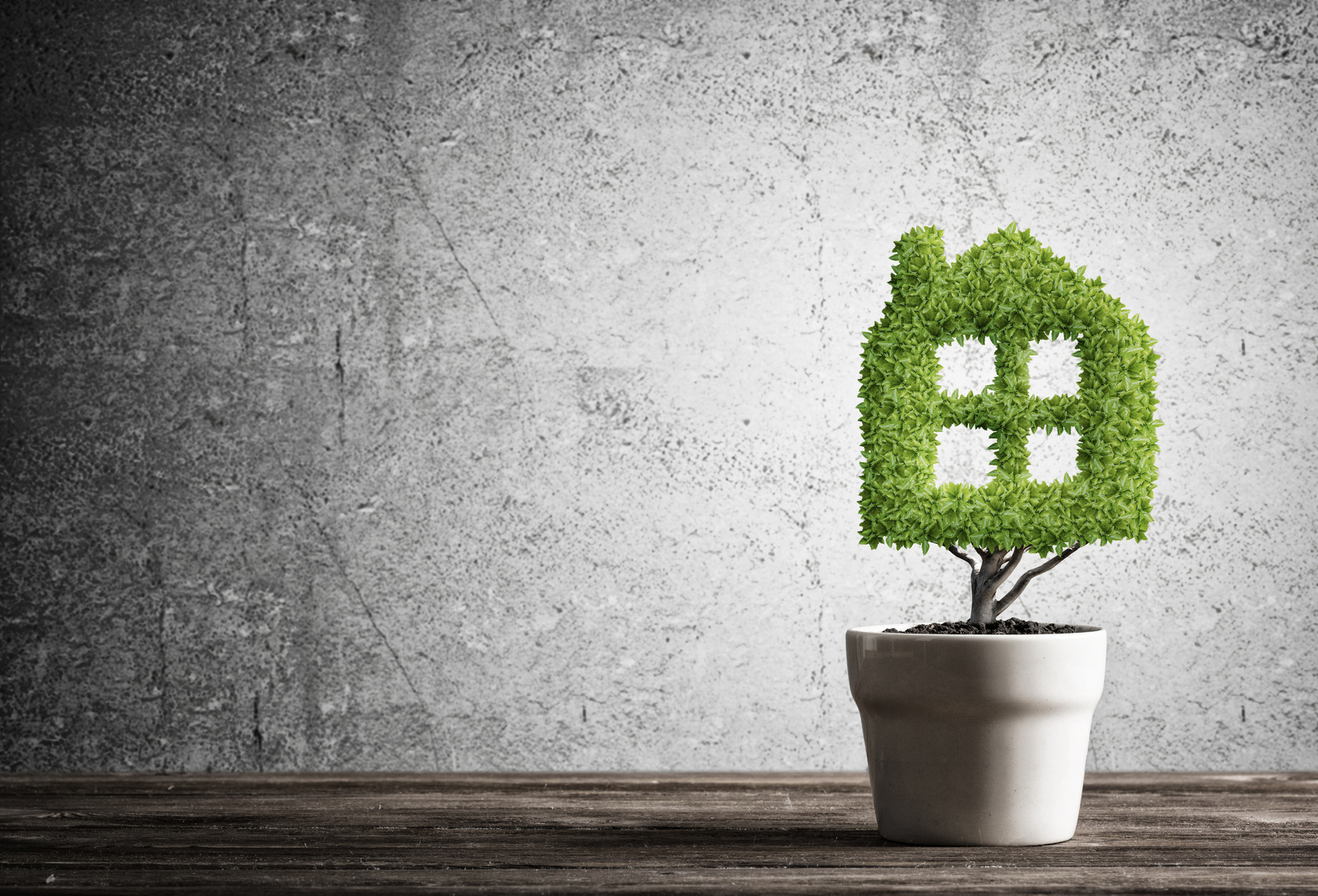 Concept of ecology recycling and eco construction with plant in pot