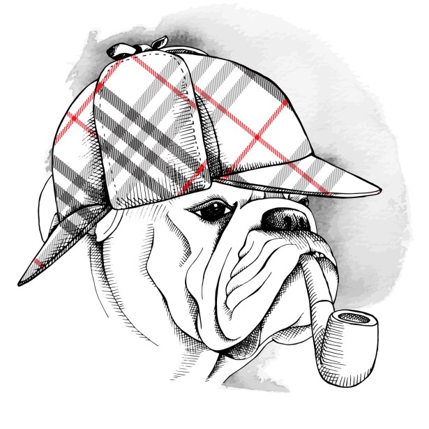 Detektiv-Hund; Detektei Mönchengladbach, Detektiv Neuss, Privatdetektiv Hilden, Patrick Kurtz