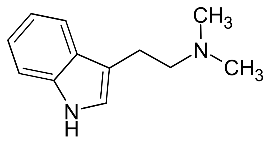 DMT molecule; Harbin, Public domain, via Wikimedia Commons